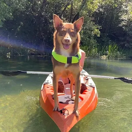 Magical Treehouse W Sandy * 莫斯塔尔