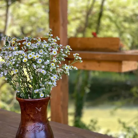 Magical Treehouse W Sandy