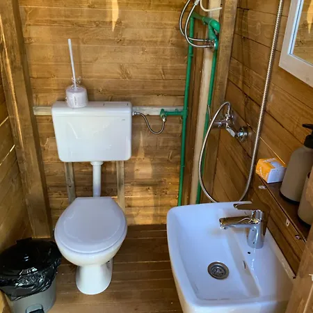 Magical Treehouse W Sandy