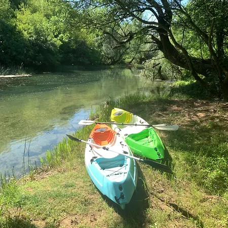 Magical Treehouse W Sandy Κάμπινγκ *