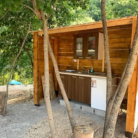 Magical Treehouse W Sandy
