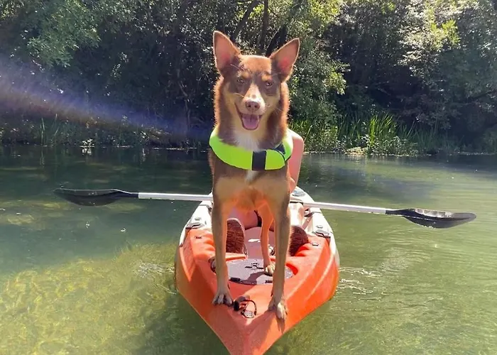 Magical Treehouse W Sandy * Mostar
