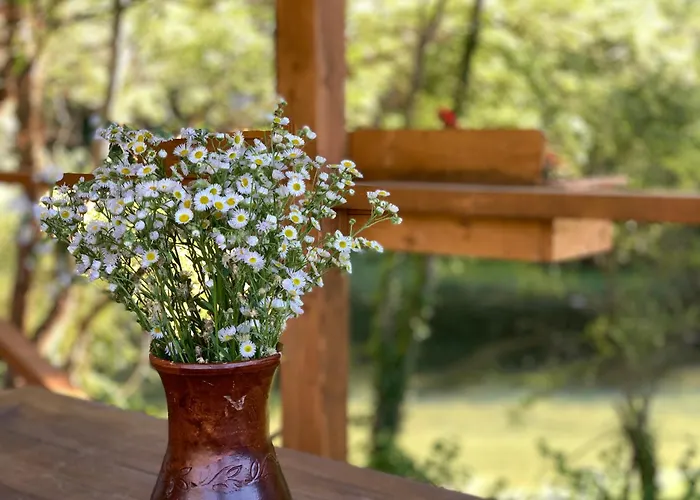 Magical Treehouse W Sandy