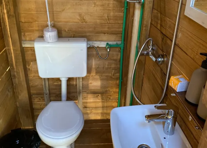 Magical Treehouse W Sandy