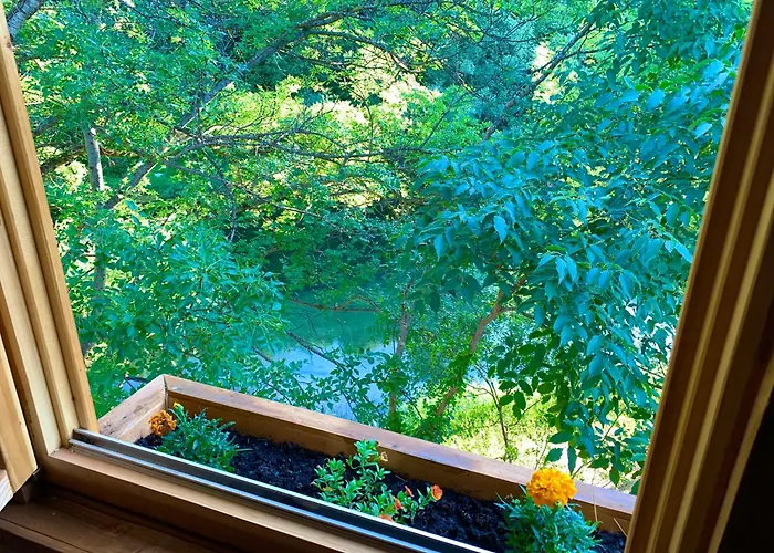 Magical Treehouse W Sandy *